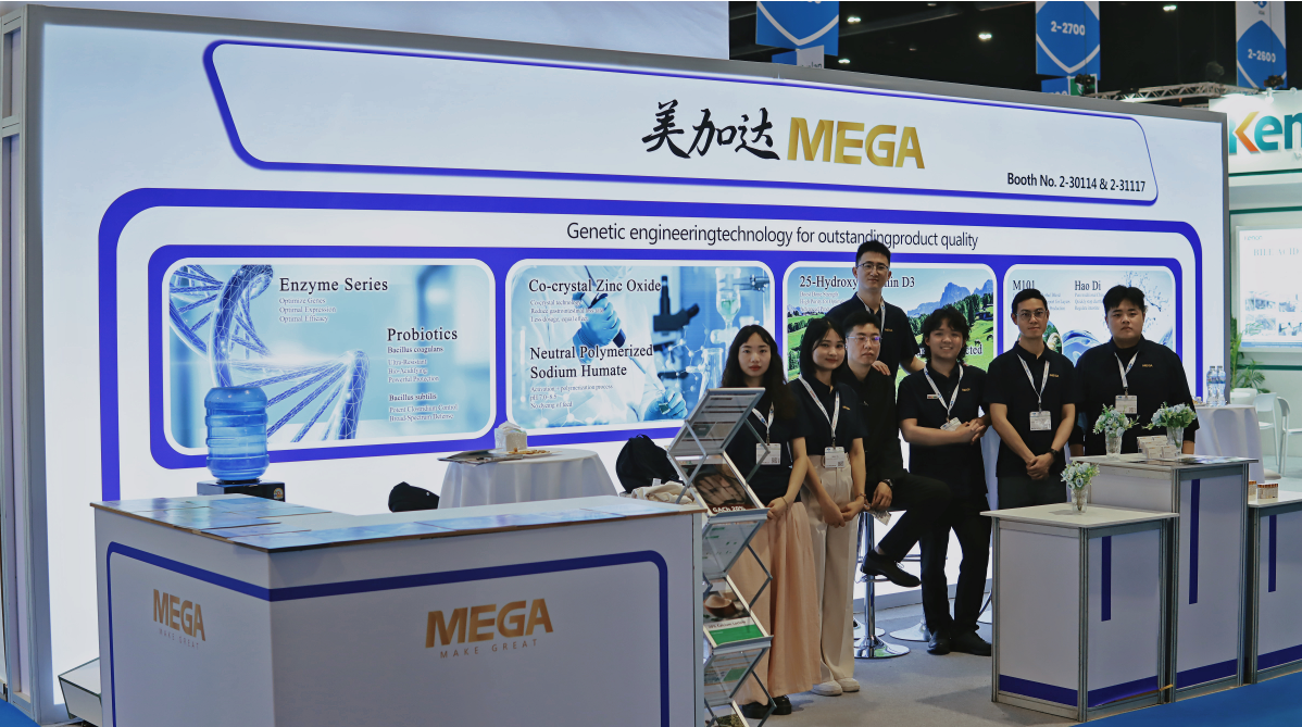 Sichuan Mega Technology Co.,Ltd